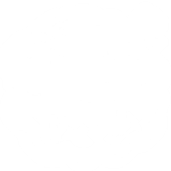 Sleepy Pulses