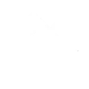 Official Website Icon