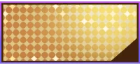 5★ Raider Icon