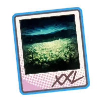 Lunar Blossom-Night Icon