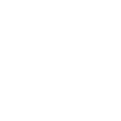 Player Icon